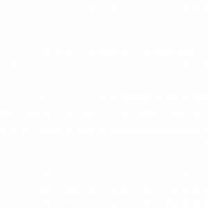 Комплект роликов подачи бумаги NVP  (2F909171+2HN06080+2F906230) для Kyocera ECOSYS2100dn, 4100dn, 4200dn/ TASKalfa 255, 305 RICOH P800/ MP501(совм)